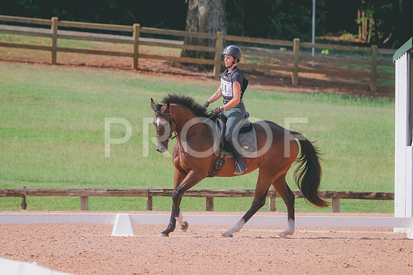 RWP_6138