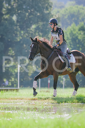 RWP_8042