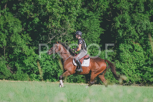 RWP_8047