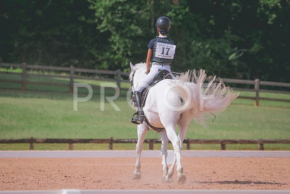 RWP_6206
