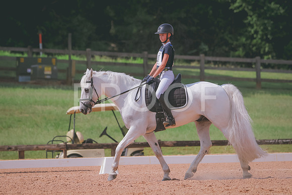RWP_6227