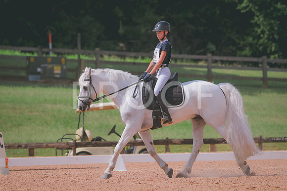 RWP_6228