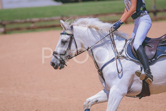 PR9_0406