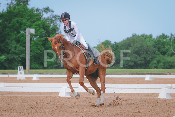 RWP_5719