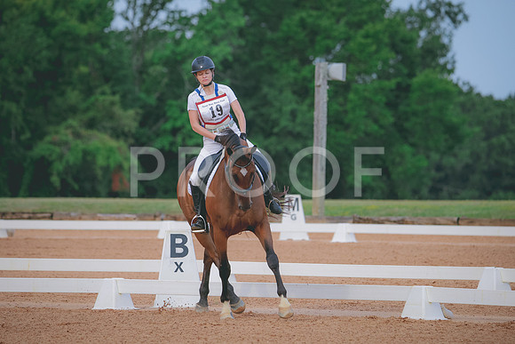 RWP_5293