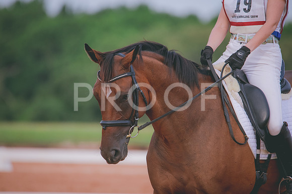 RWP_5304