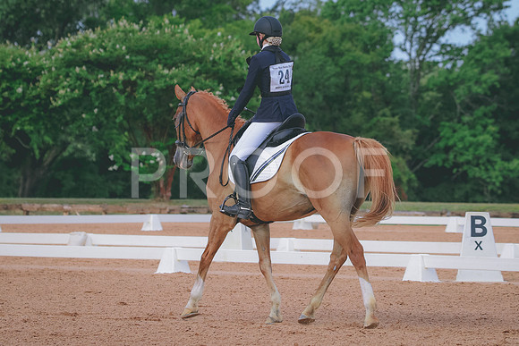 RWP_5640