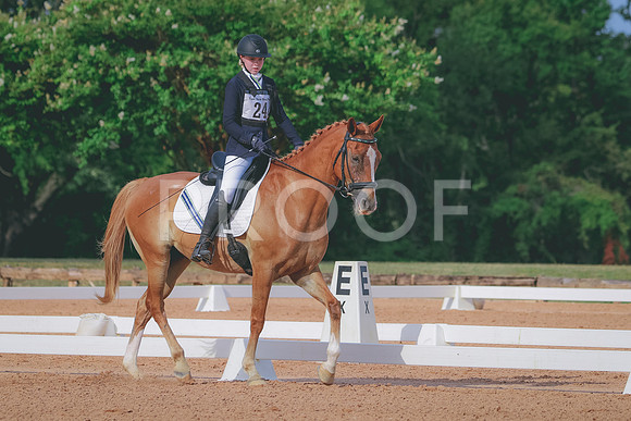 RWP_5648