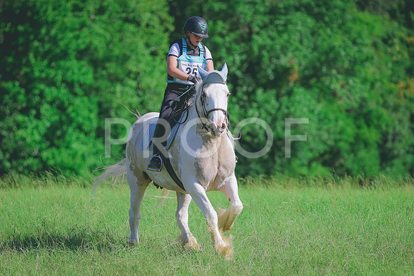 BYR_0202