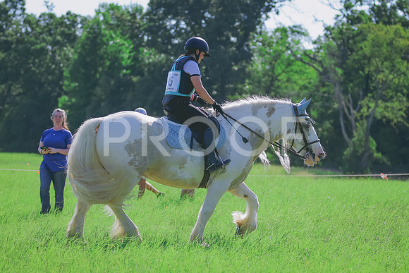 BYR_0234
