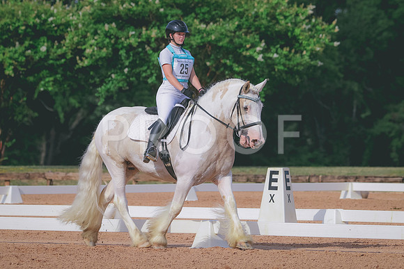 RWP_5767
