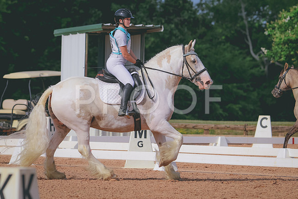 RWP_5773