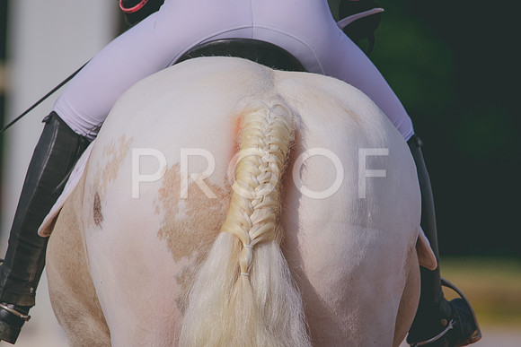 RWP_5782