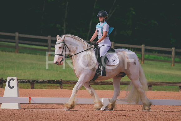 RWP_5784