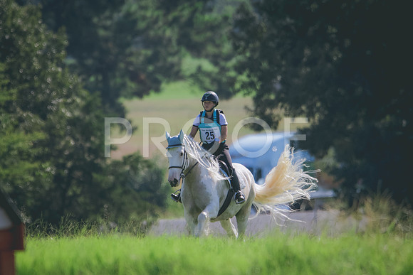 RWP_8213