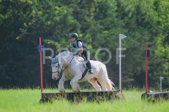 RWP_8217