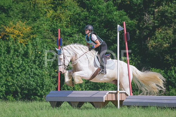 RWP_8222