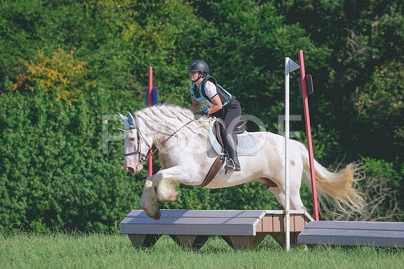 RWP_8223