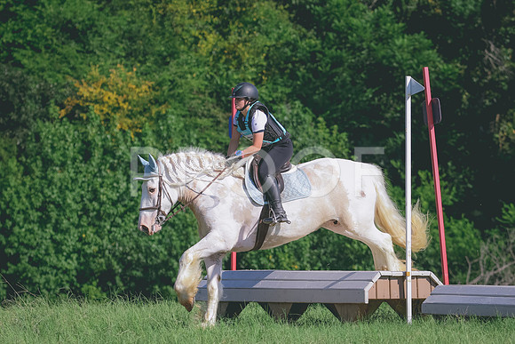 RWP_8225