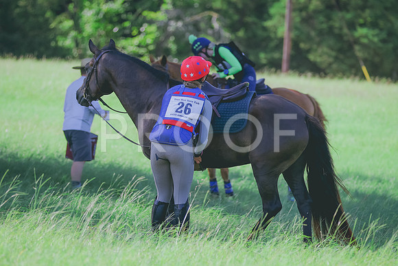 BYR_0413