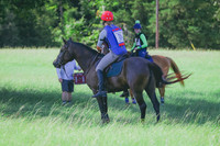 BYR_0404