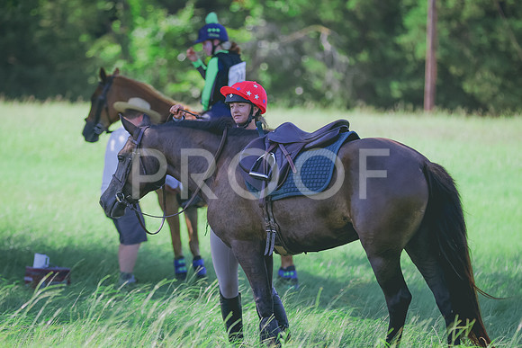 BYR_0431