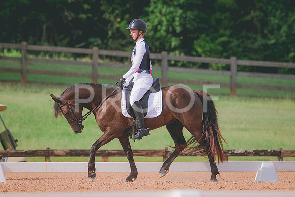 RWP_5831