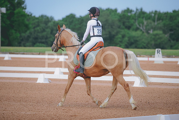 RWP_5094