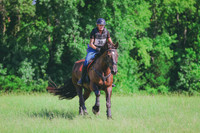 BYR_0932