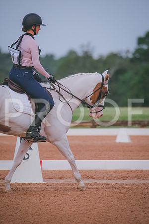 RWP_5134