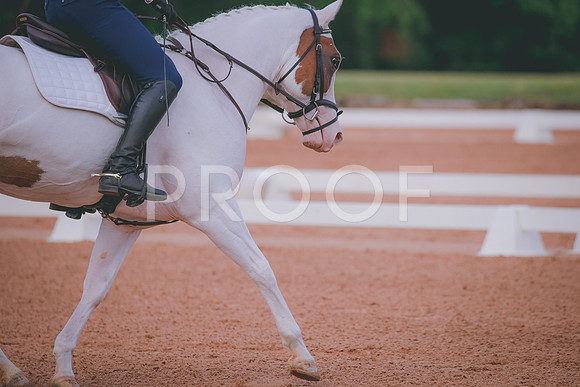 RWP_5148