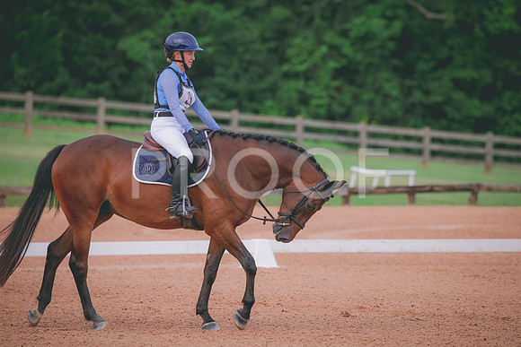 RWP_5231