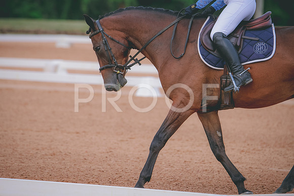RWP_5237