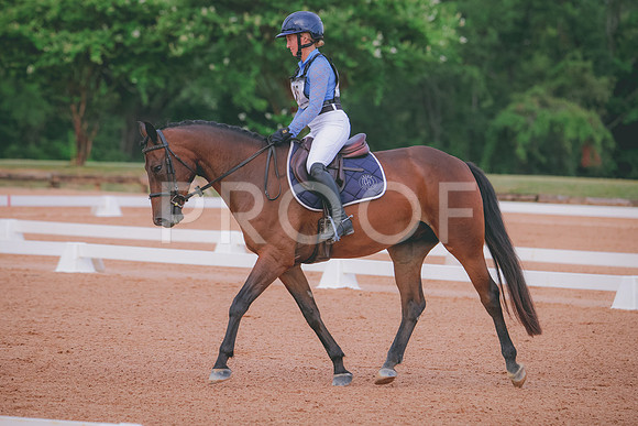 RWP_5241