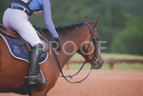 RWP_5273