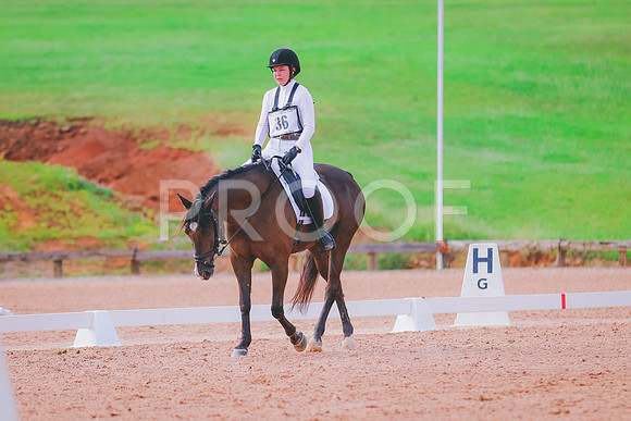 BYR_0194