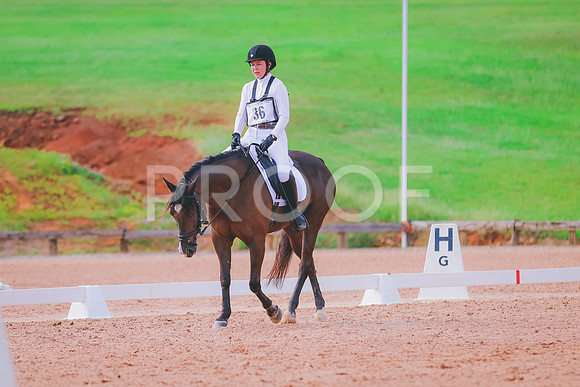 BYR_0194-2