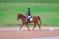 BYR_9711