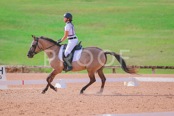BYR_0308