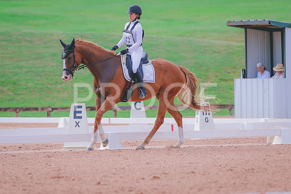 BYR_0460