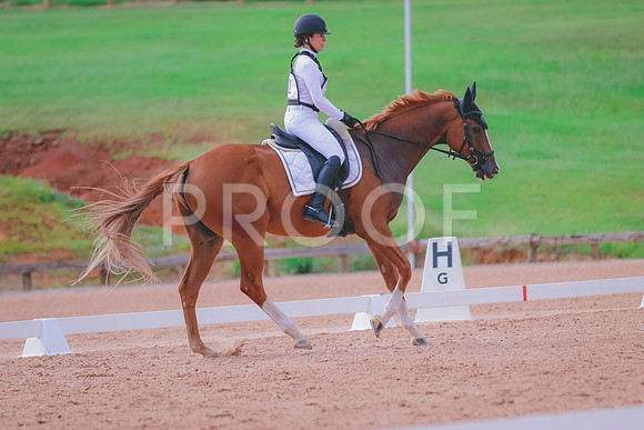 BYR_0495