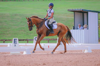 BYR_0682