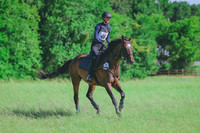 BYR_0637
