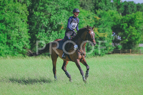 BYR_0637