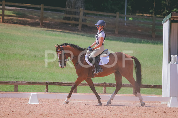 RWP_6697