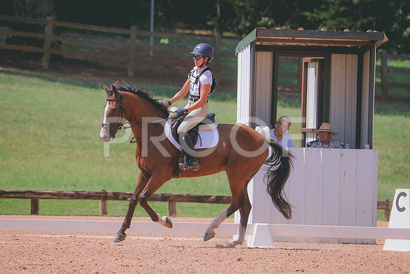 RWP_6729