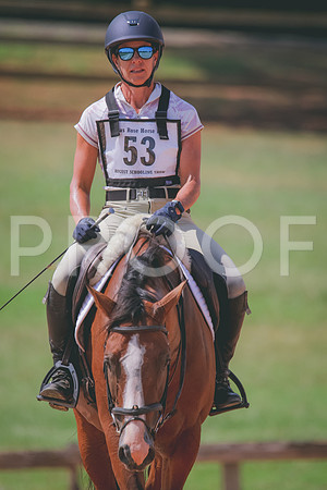 RWP_6753