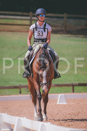 RWP_6754