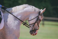 RWP_6775
