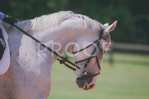 RWP_6775